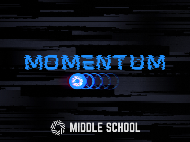 Momentum